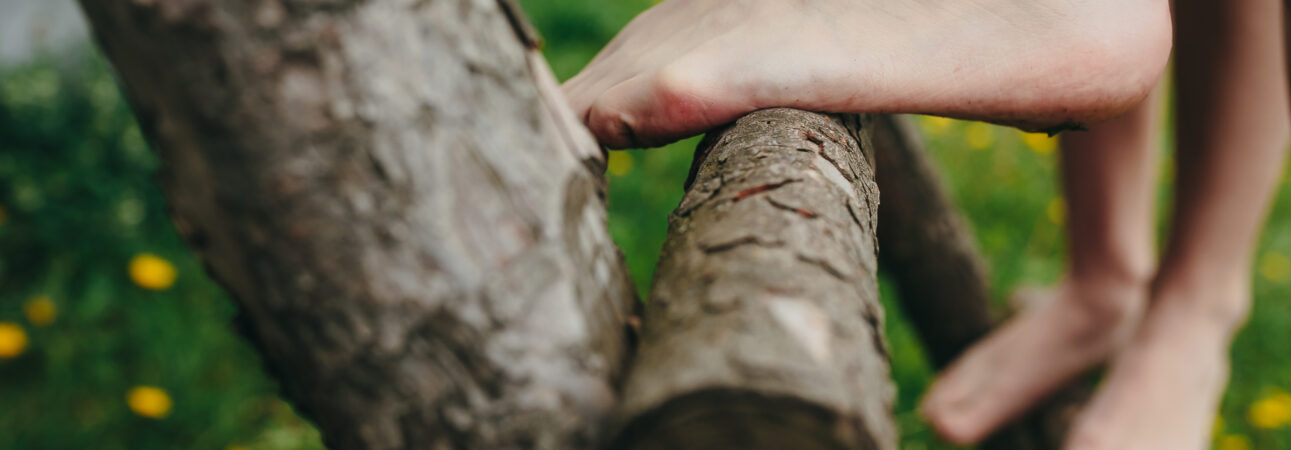 retour à l'instinct primaire